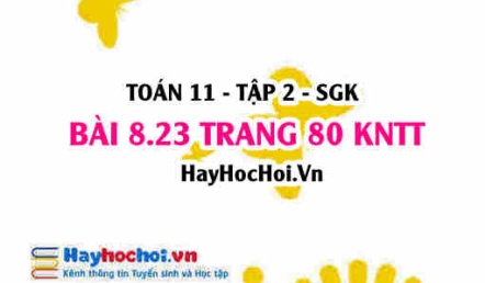 Bài 8.23 trang 80 Toán 11 tập 2 Kết nối tri thức